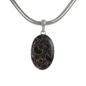 A simple Oval Shaped Turtella Agate Set on Sterling Silver Open Back bazel