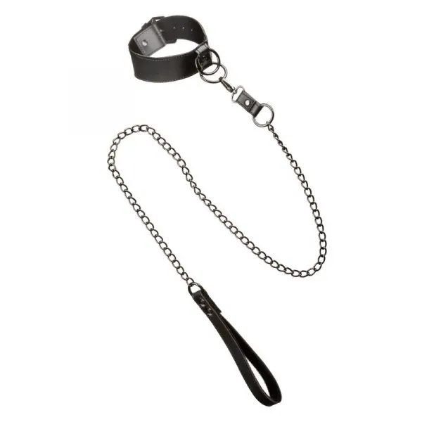 Euphoria Collection Collar with Chain Leash