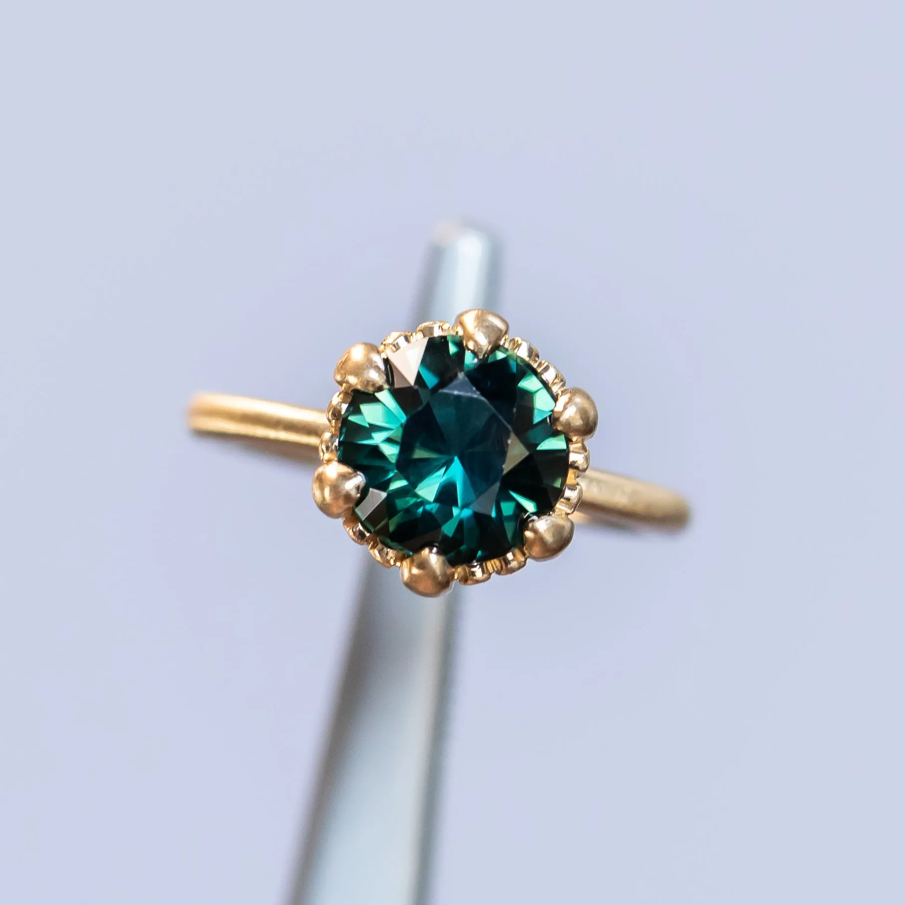 ON HOLD-3.03ct Round Deep Teal Sapphire Scallop Cup Solitaire in Satin 18k Yellow Gold