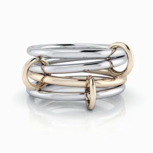 Silver & Gold Connected Rings No. 20