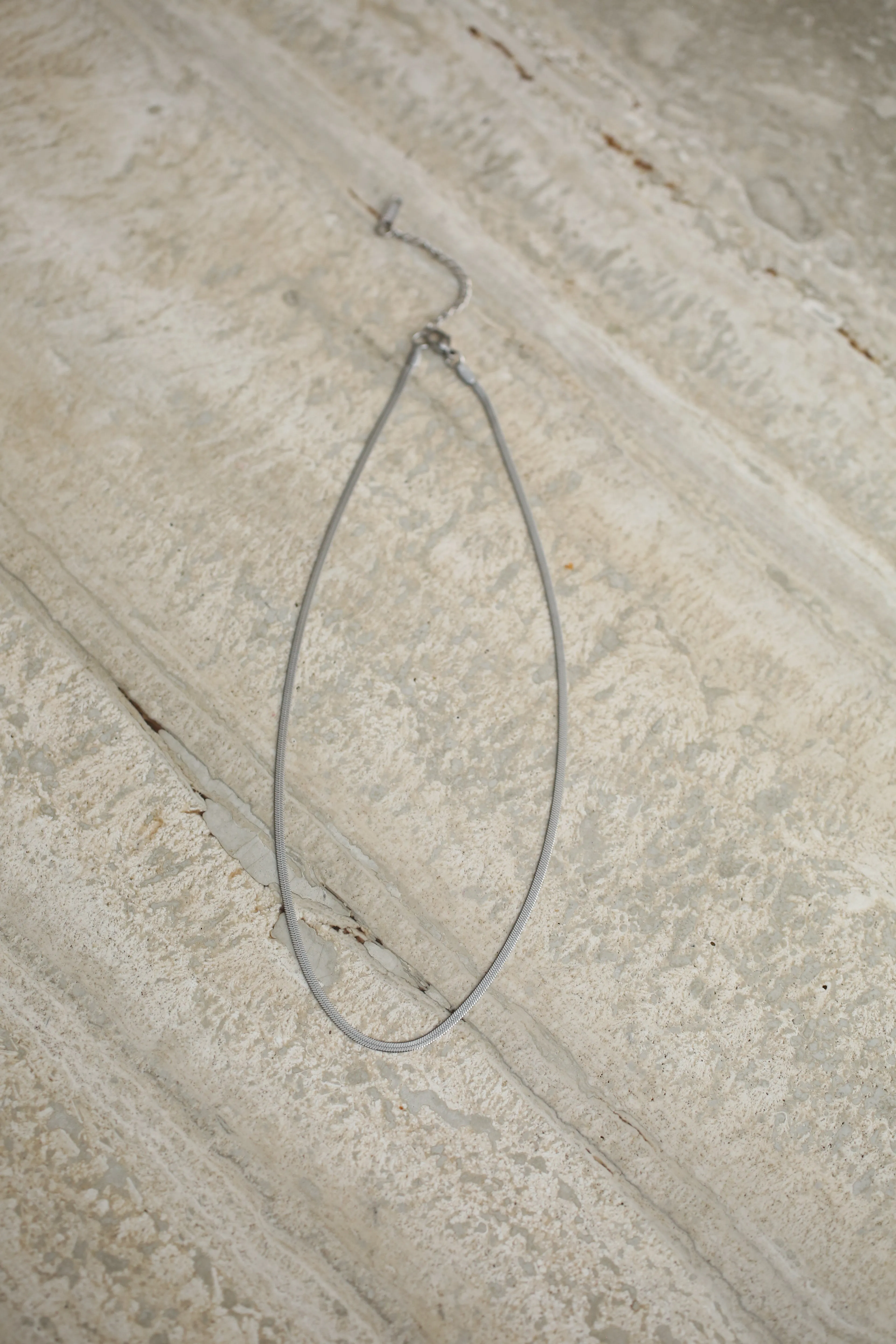 Snake Chain Necklace